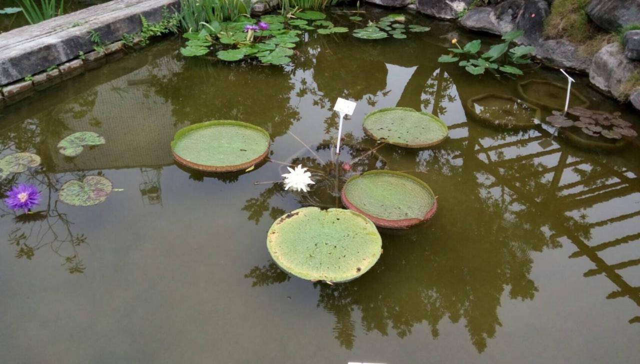 Chinese Garden Houses Apartment Pingtung Exterior photo